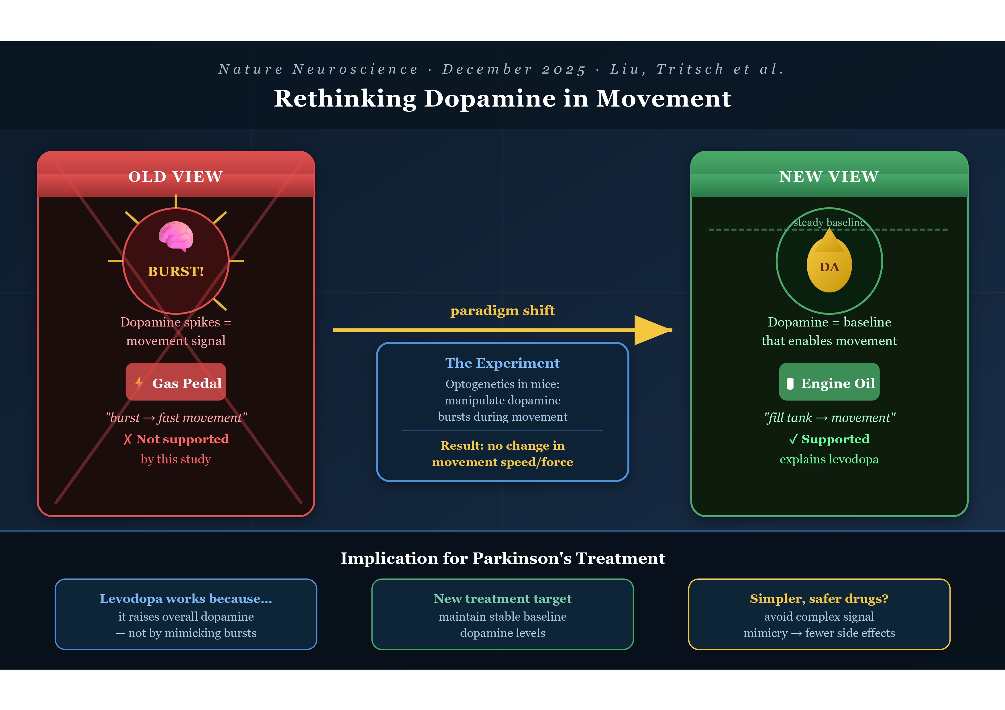 Graphical abstract of dopamine and Parkinson's Disease study
